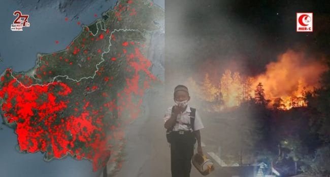 Kenali Bahaya Asap Karhutla dan Cara Melindungi Kesehatan Paru